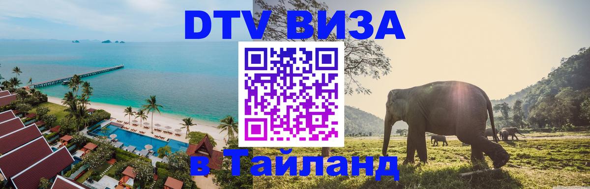 Сколько стоит DTV виза — актуальные цены, оформление даже без документов - Душанбе  20.11.2025 